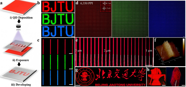 图片22(1).png